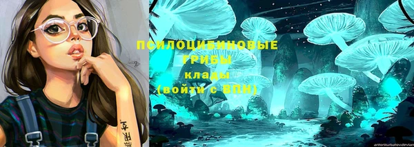 крисы Алексин