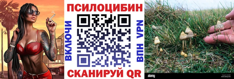 Псилоцибиновые грибы Psilocybe  купить наркотики цена  Чехов 